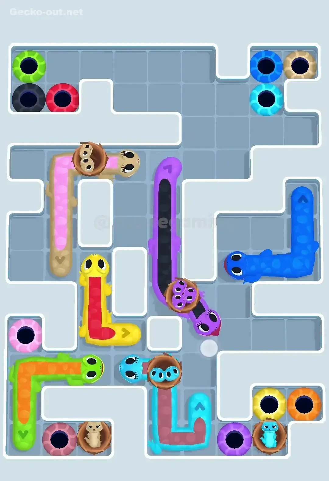 Gecko Out Level 600 Solution 3