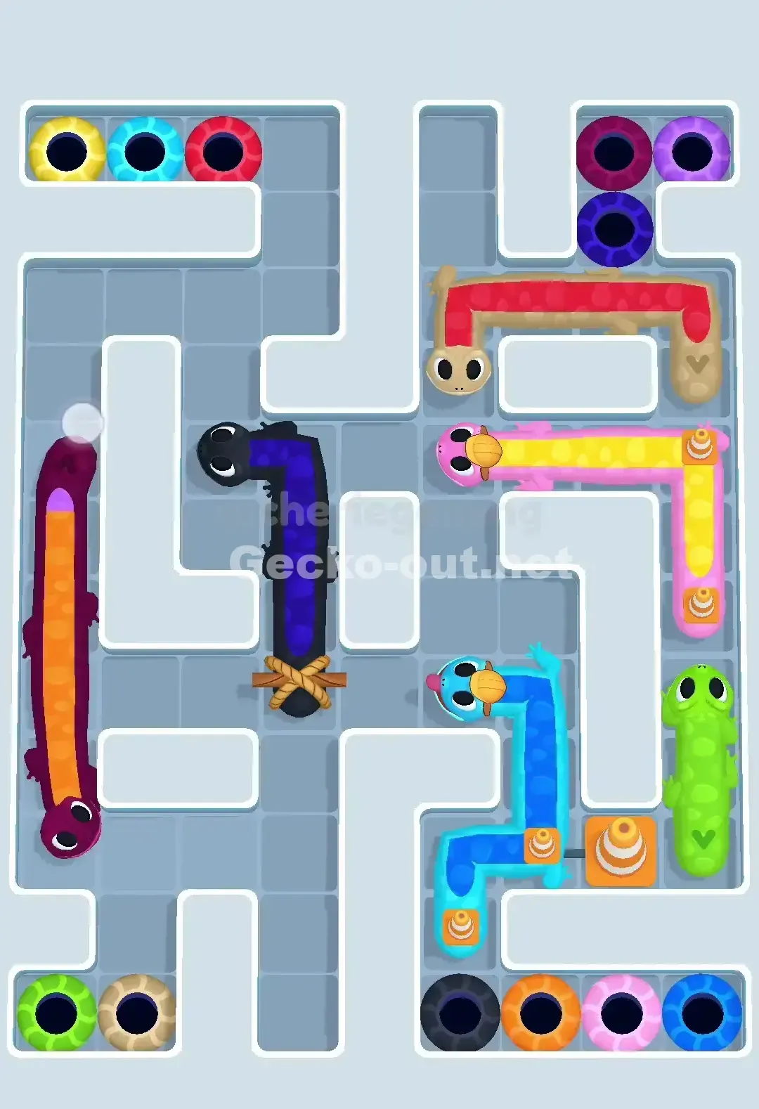 Gecko Out Level 655 Solution 1