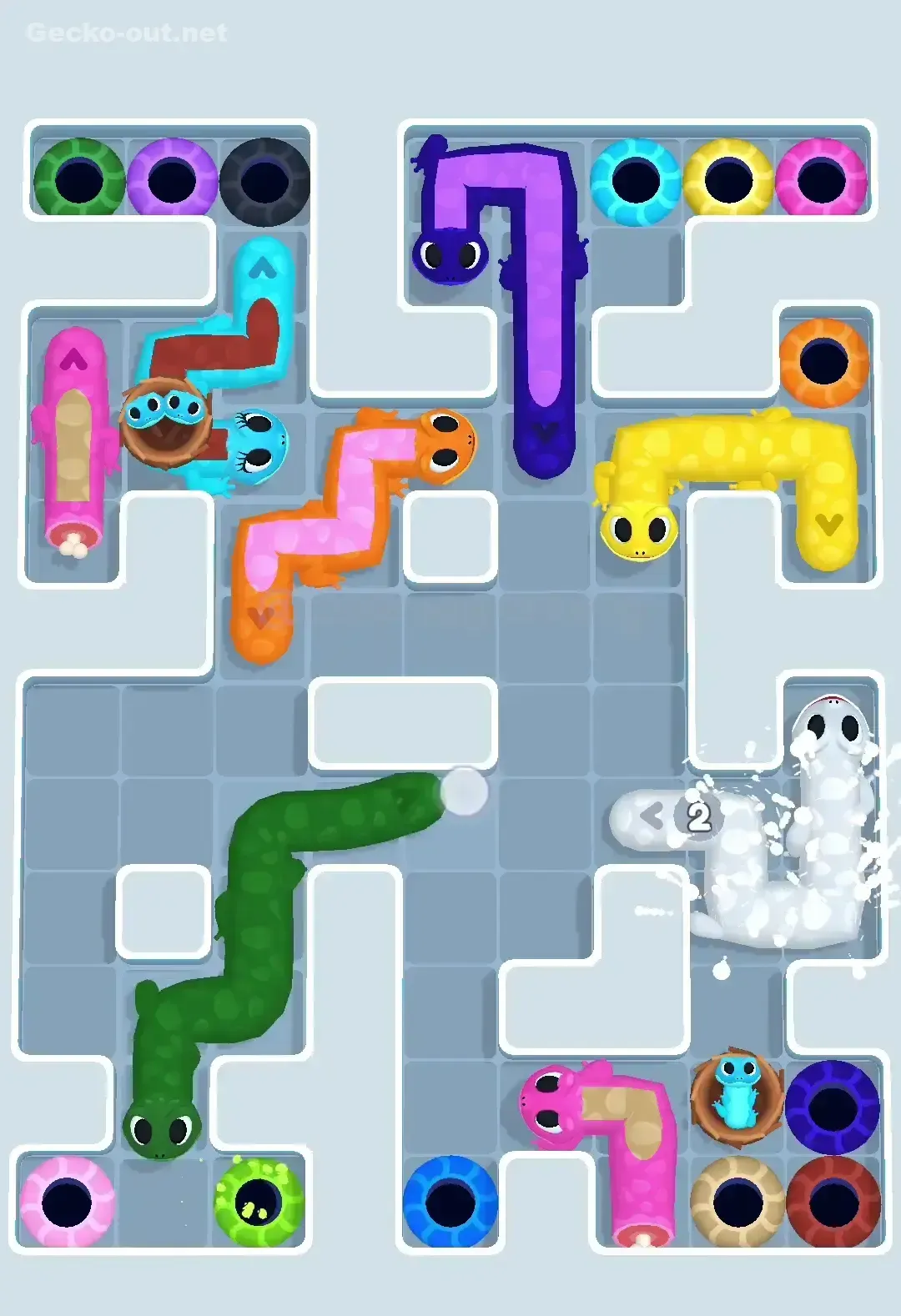 Gecko Out Level 599 Solution 3