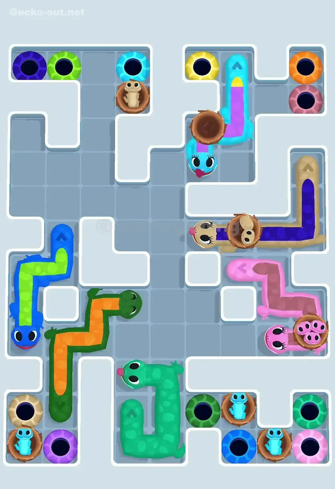 Gecko Out Level 598 Solution 2