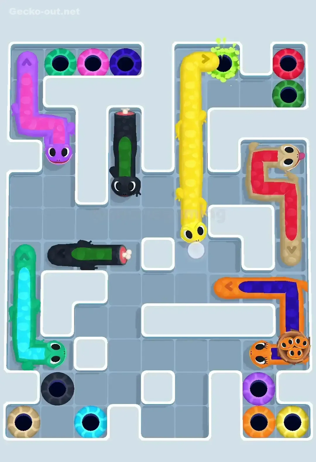 Gecko Out Level 595 Solution 3