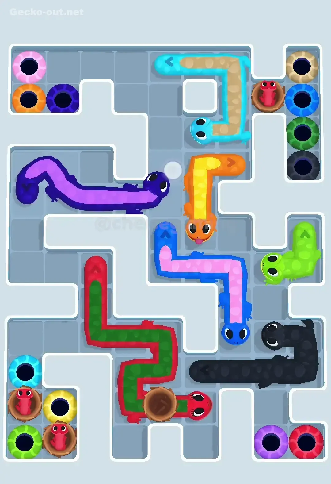 Gecko Out Level 590 Solution 2