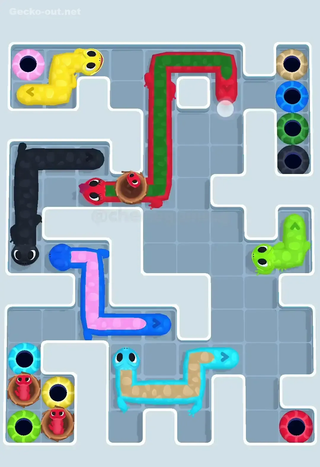 Gecko Out Level 590 Solution 3