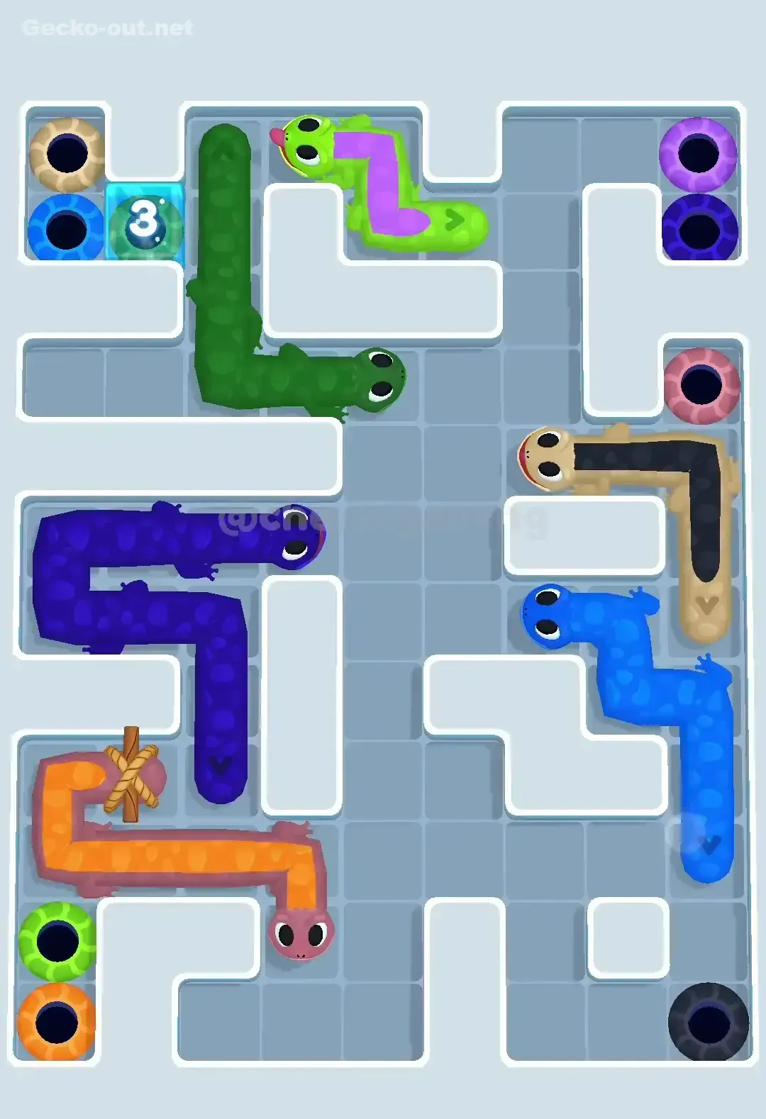 Gecko Out Level 583 Solution 3