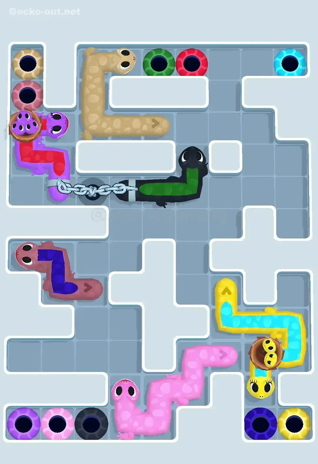 Gecko Out Level 581 Solution 3