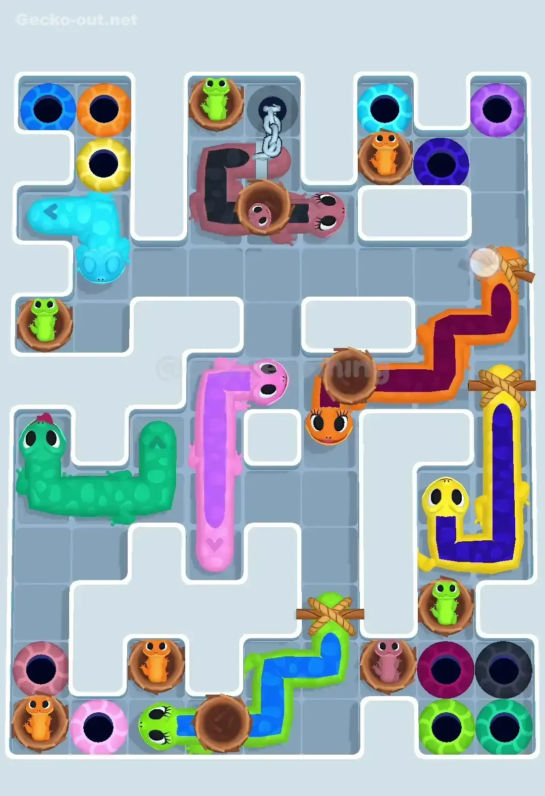 Gecko Out Level 580 Solution 2