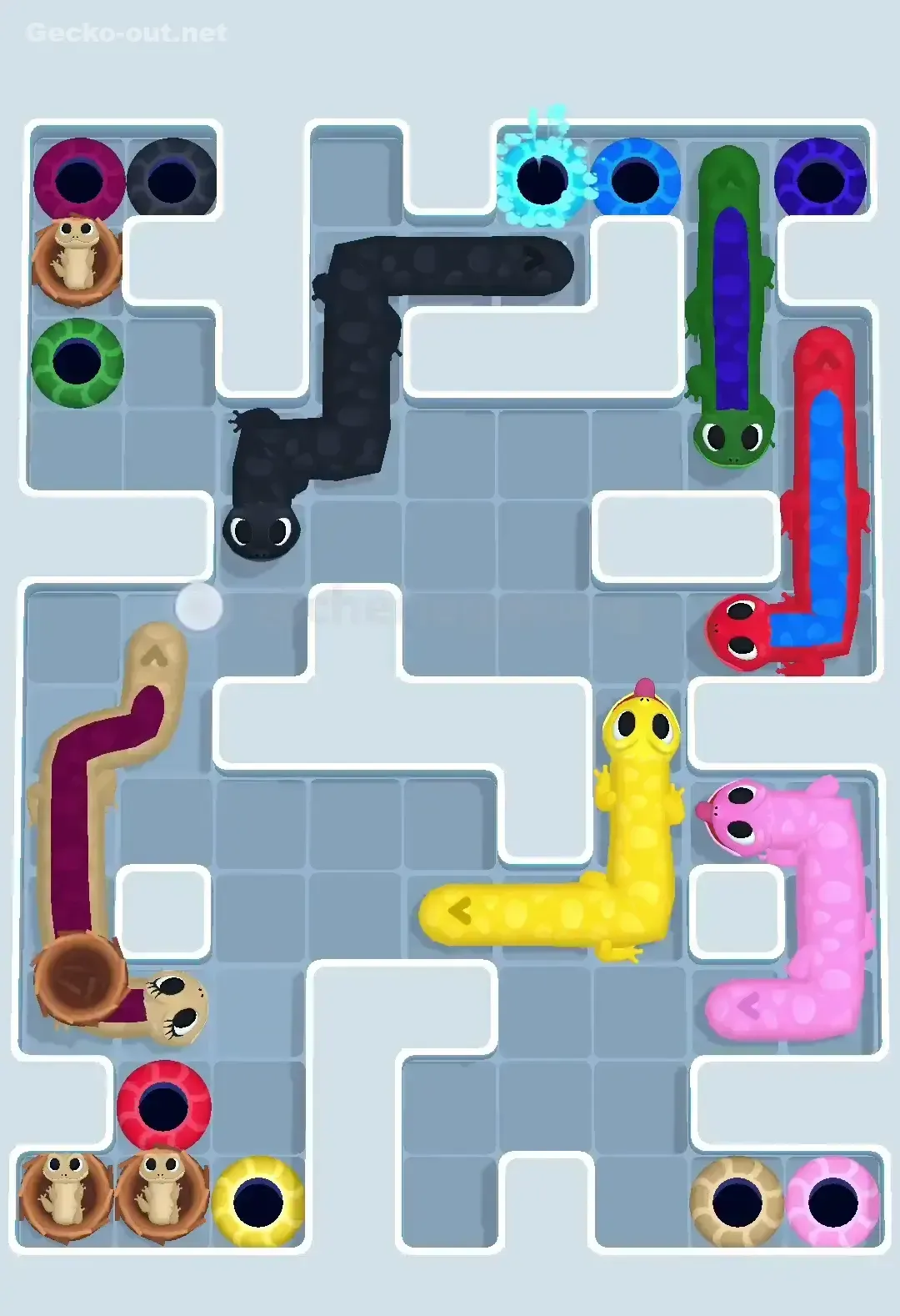 Gecko Out Level 576 Solution 2