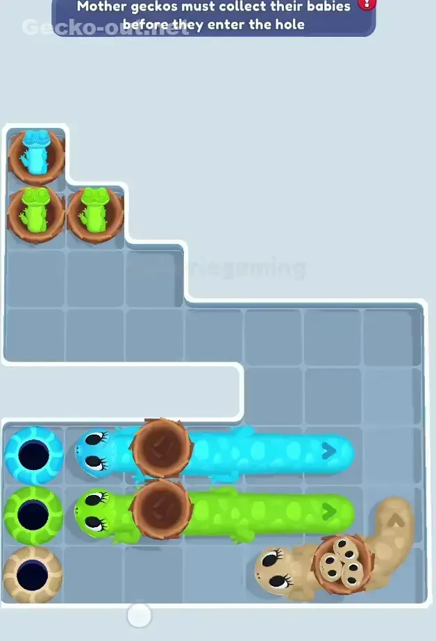 Gecko Out Level 573 Solution 1