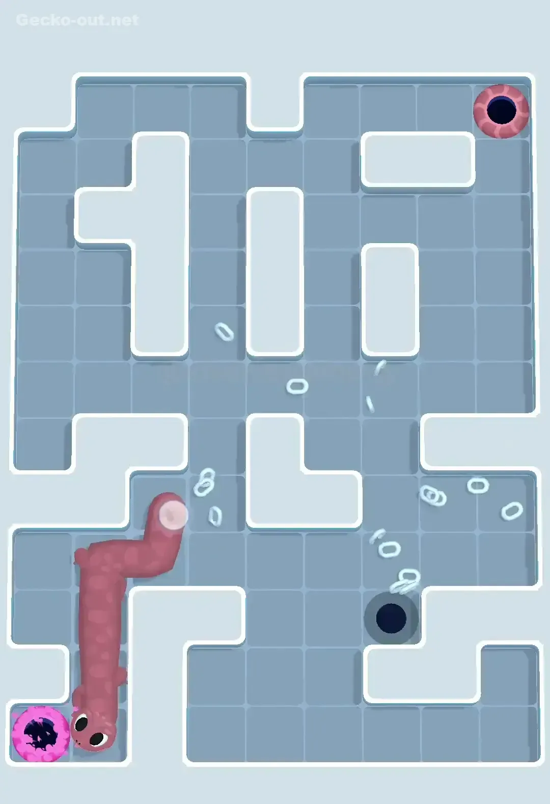 Gecko Out Level 571 Solution 3