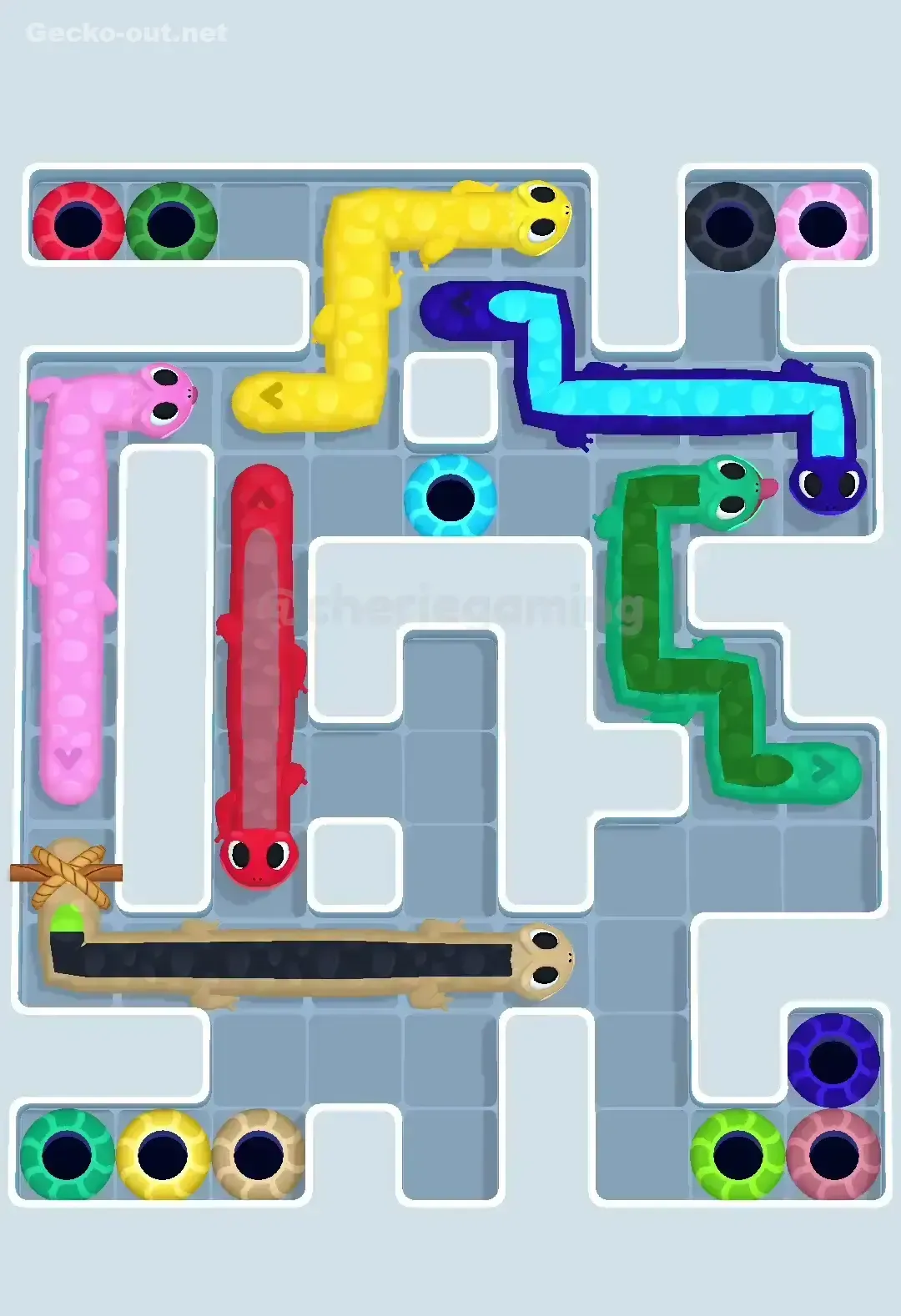 Gecko Out Level 565 Solution 2