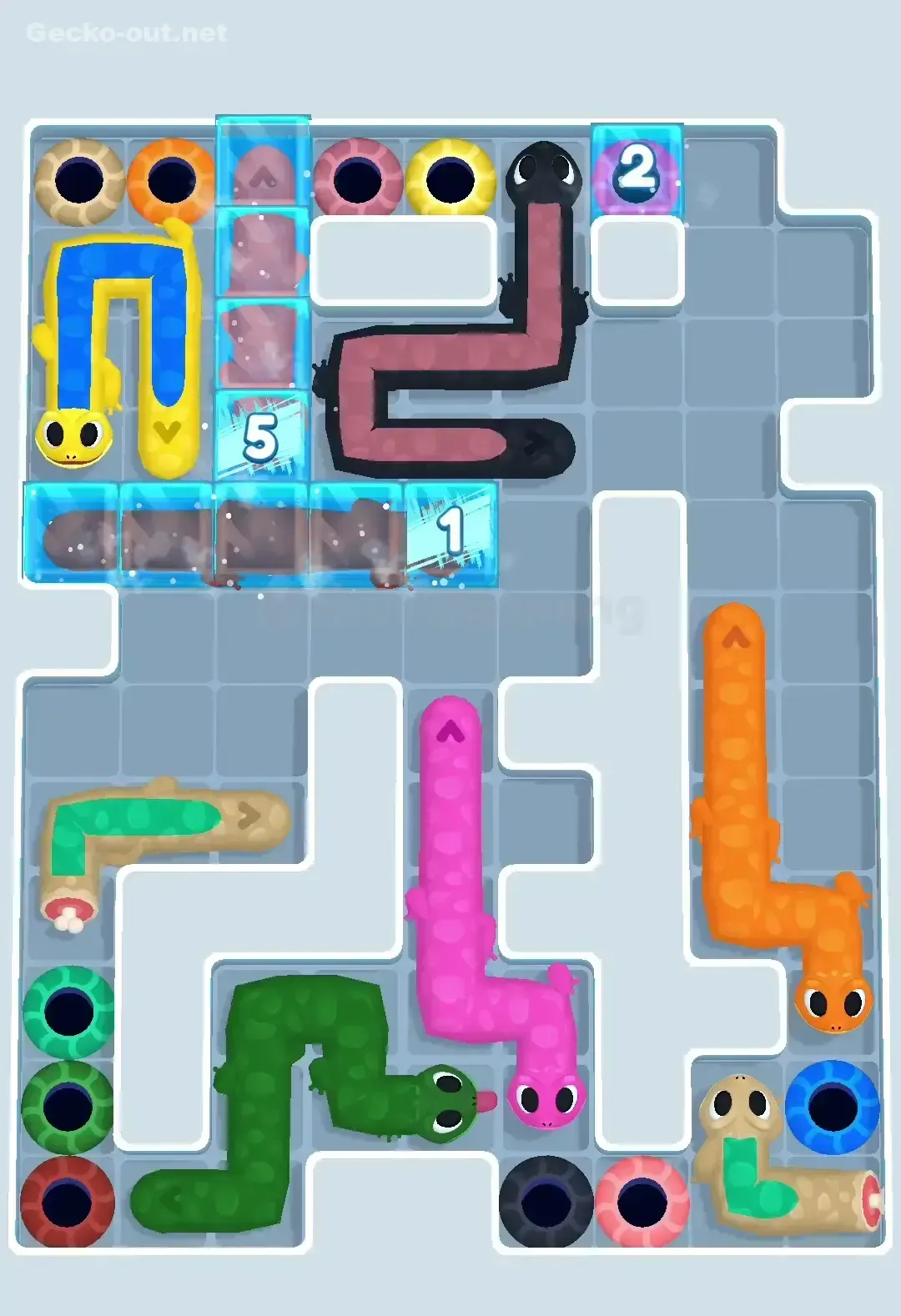 Gecko Out Level 564 Solution 3