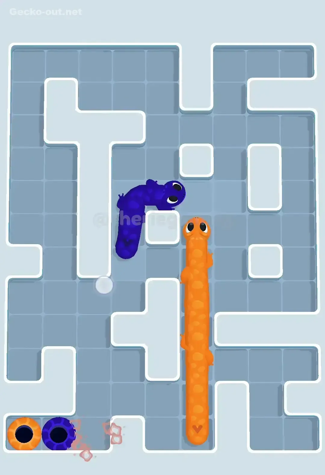 Gecko Out Level 563 Solution 3