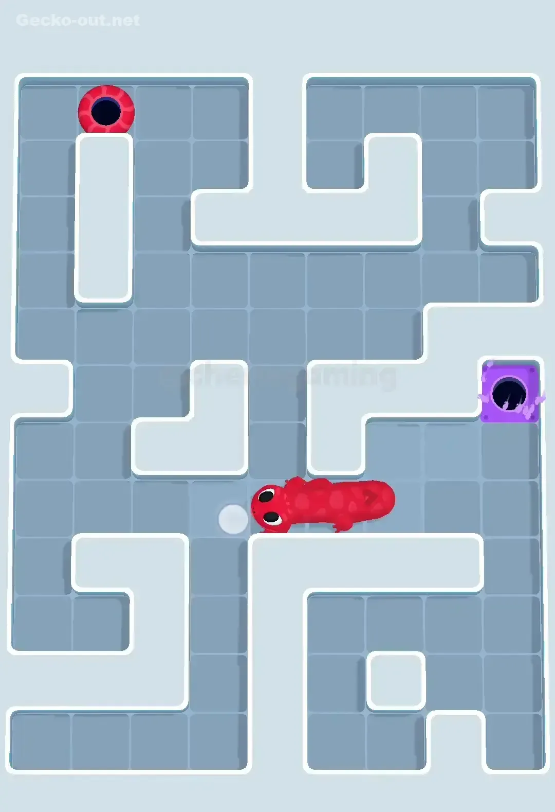 Gecko Out Level 561 Solution 3