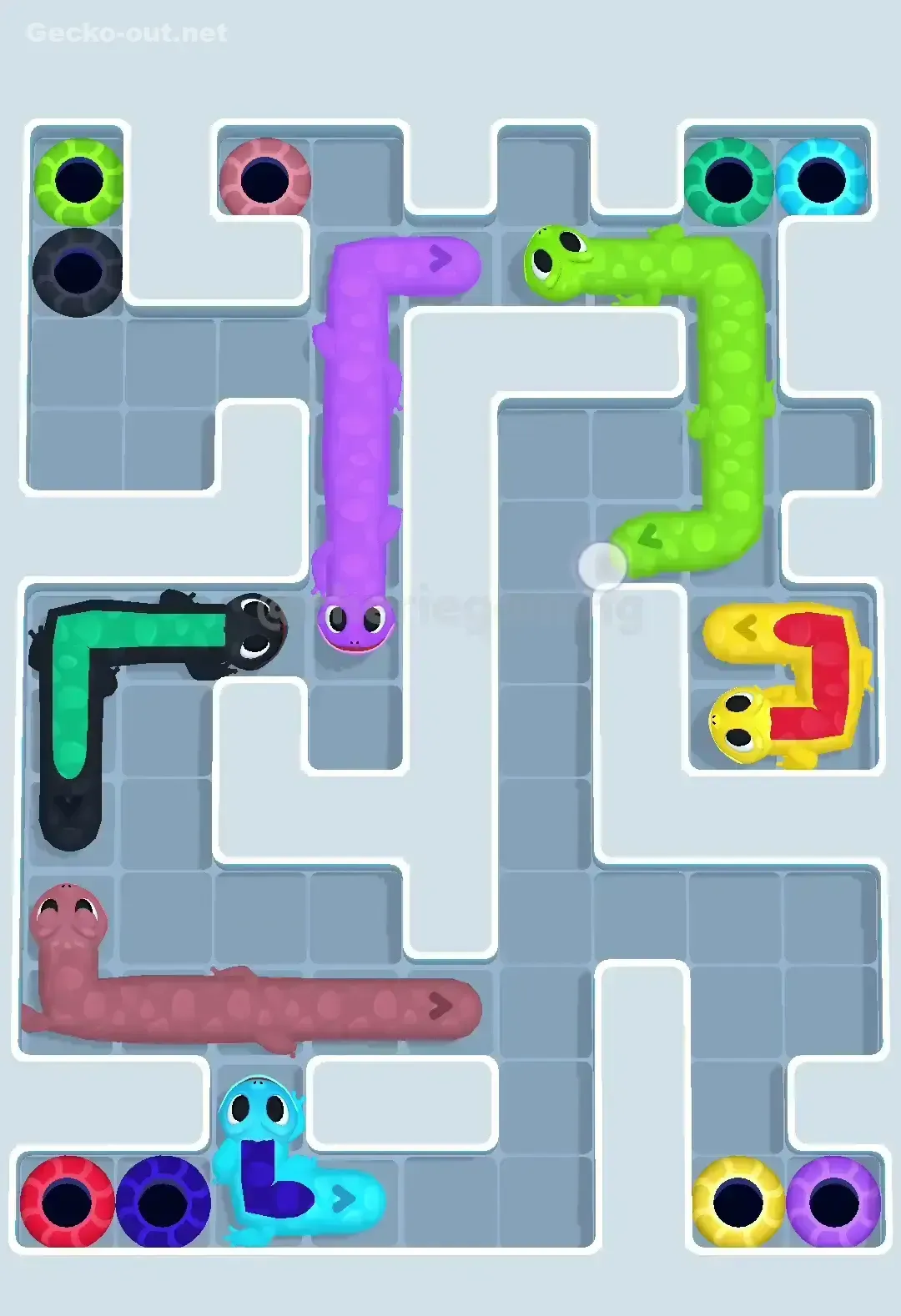 Gecko Out Level 558 Solution 2