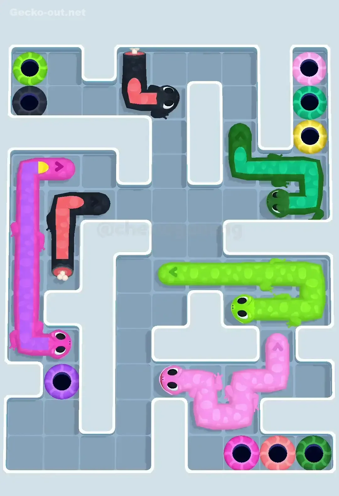 Gecko Out Level 560 Solution 2