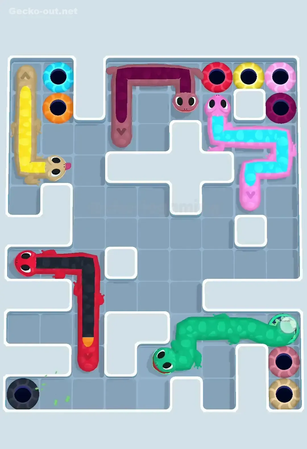 Gecko Out Level 556 Solution 2