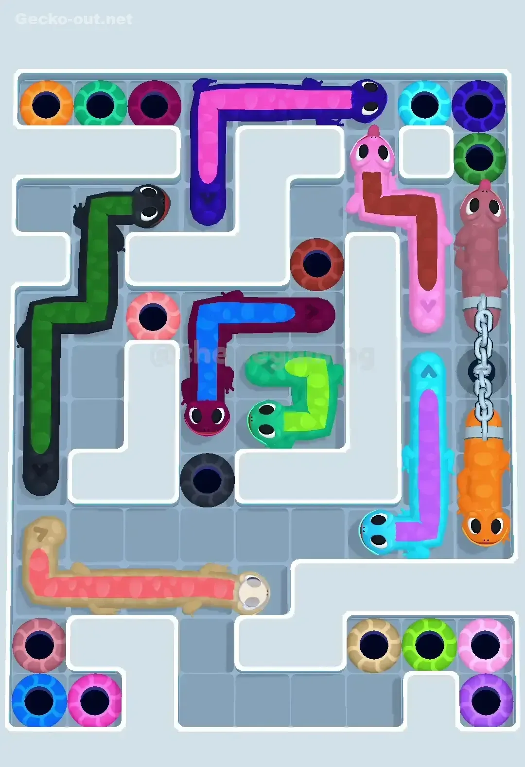 Gecko Out Level 555 Screenshot