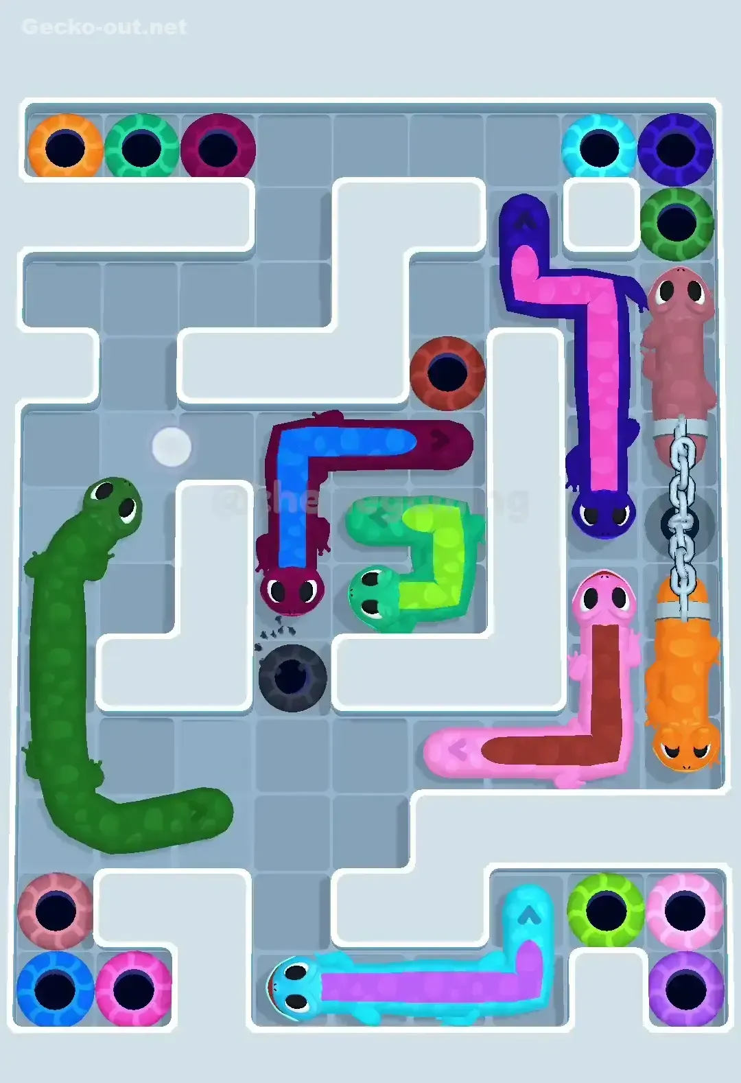 Gecko Out Level 555 Solution 2