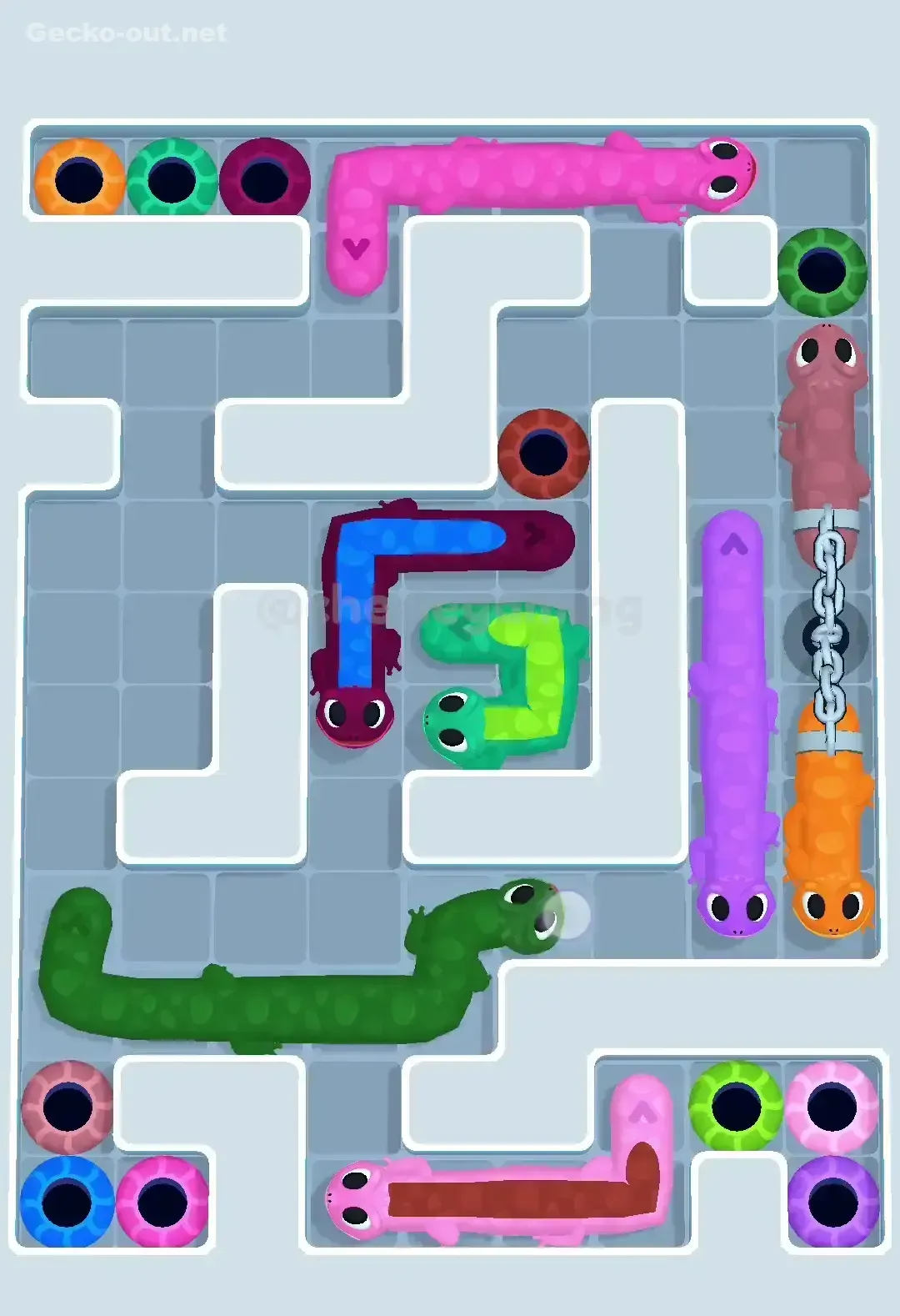 Gecko Out Level 555 Solution 3