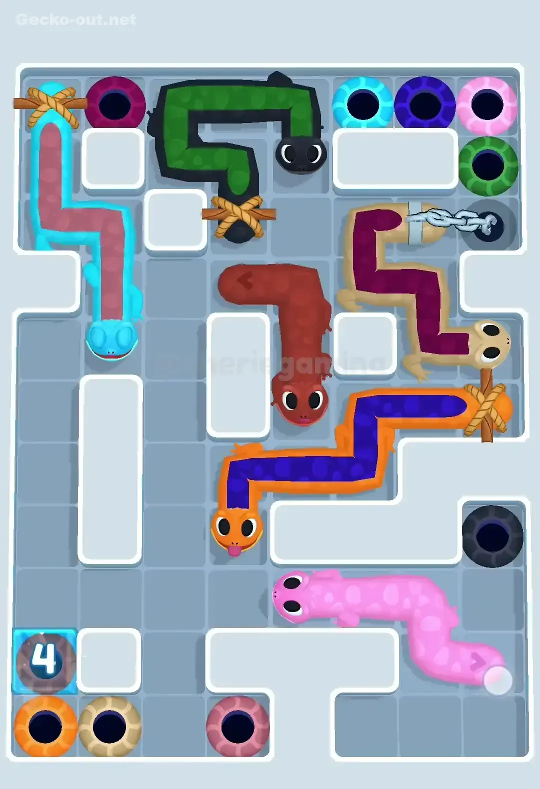Gecko Out Level 554 Solution 2