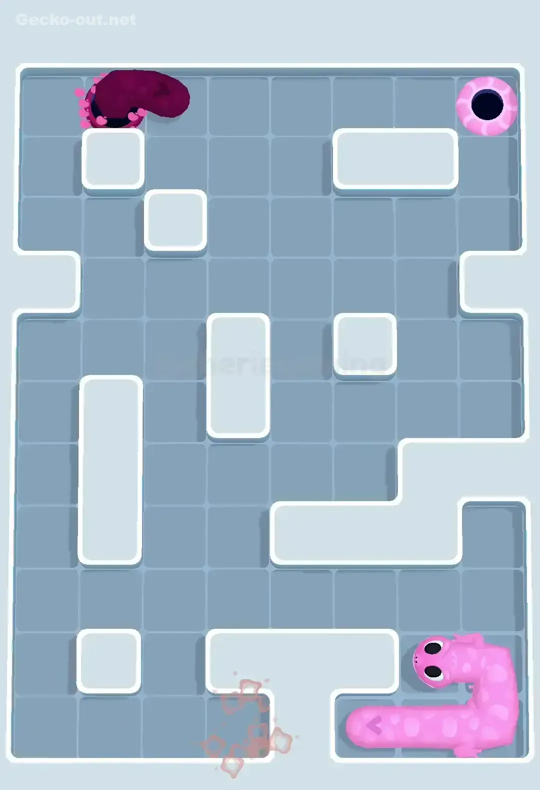 Gecko Out Level 554 Solution 3