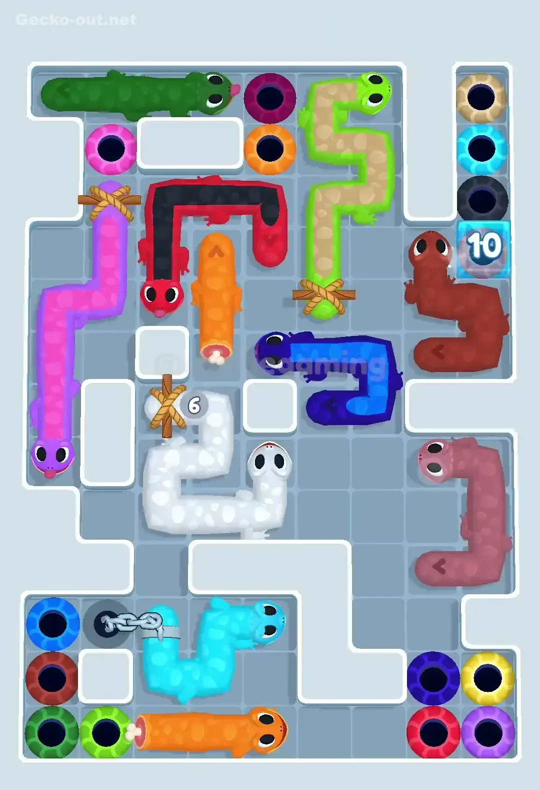 Gecko Out Level 543 Solution 1