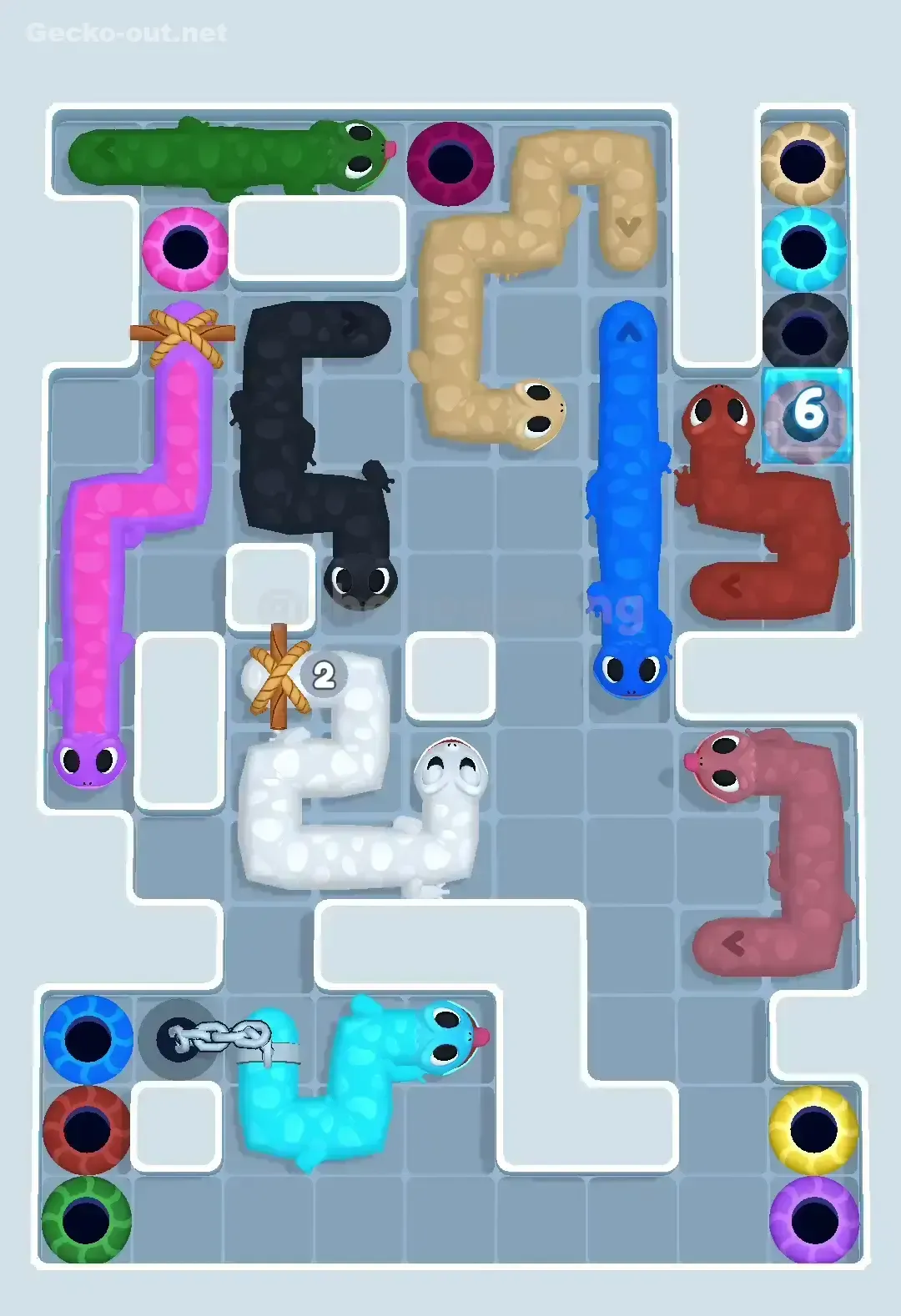 Gecko Out Level 543 Solution 3