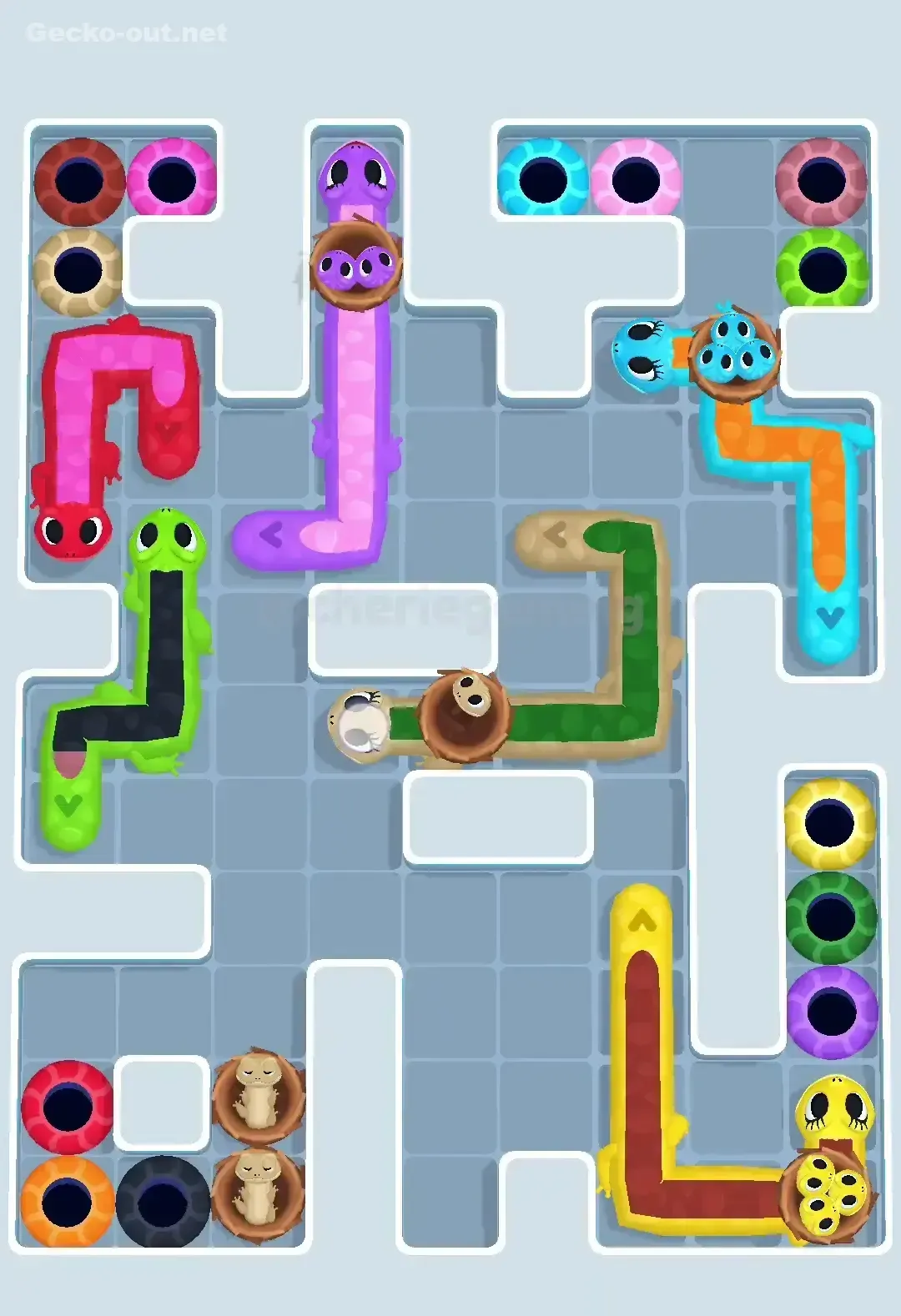 Gecko Out Level 575 Solution 2