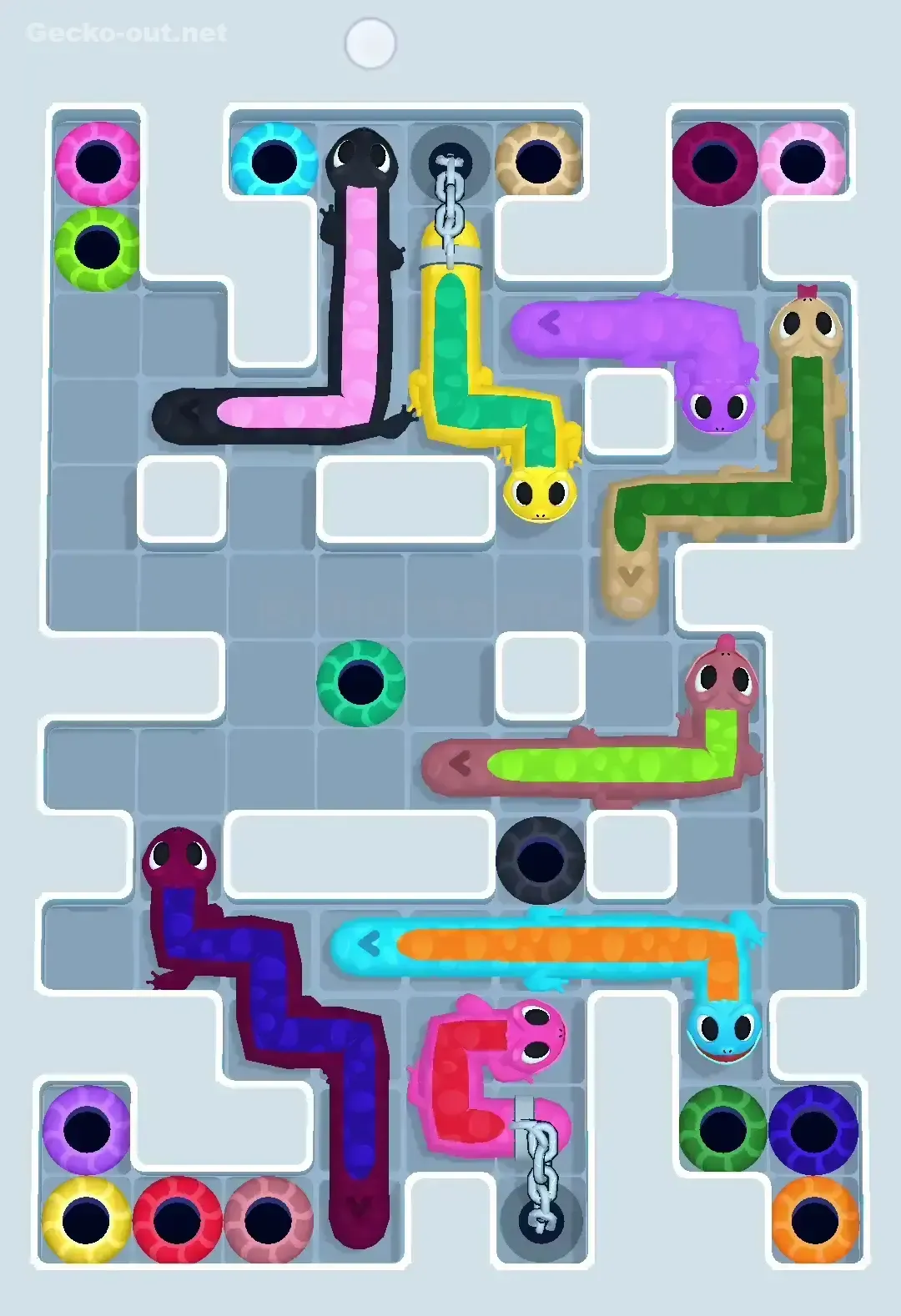 Gecko Out Level 531 Solution 2