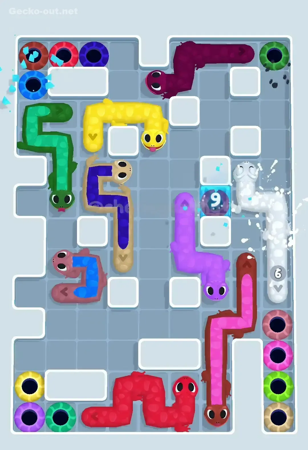 Gecko Out Level 525 Solution 3
