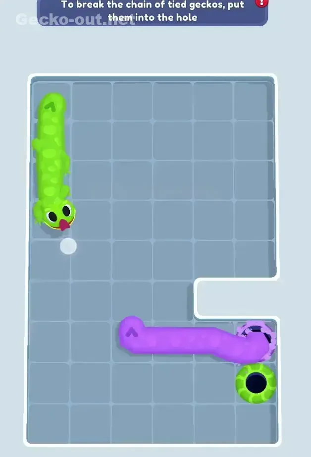 Gecko Out Level 523 Solution 3