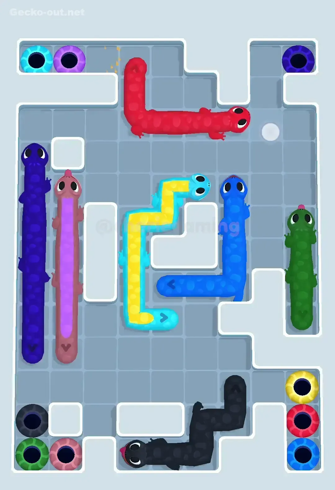 Gecko Out Level 520 Solution 2