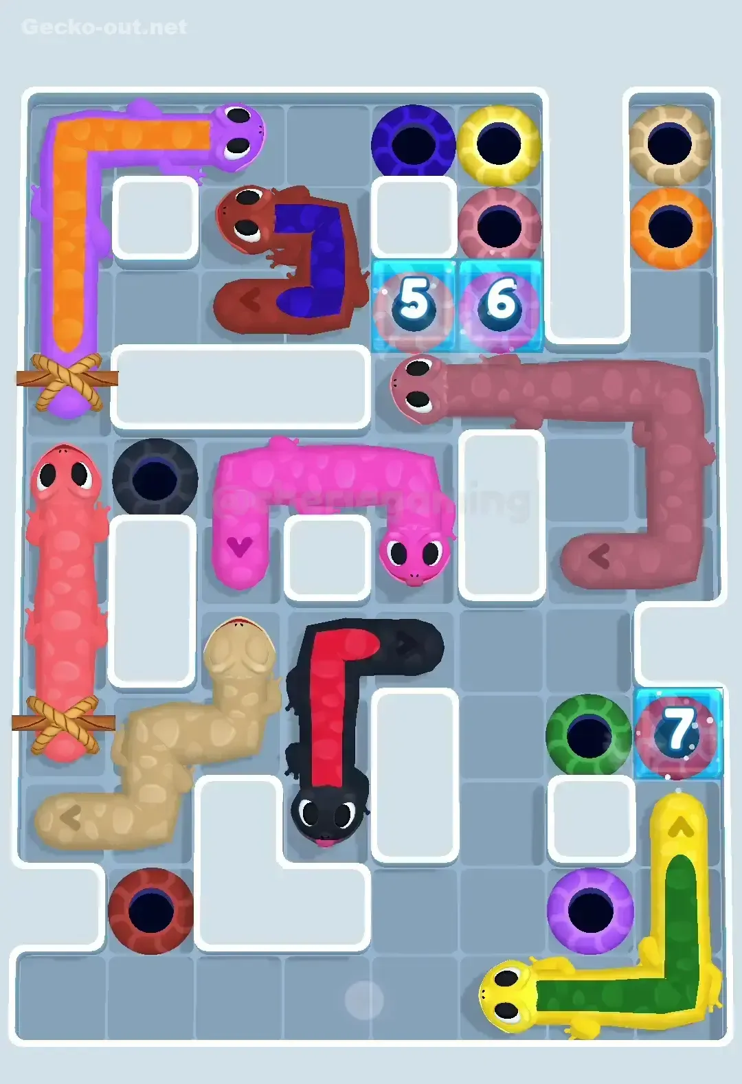 Gecko Out Level 519 Solution 2