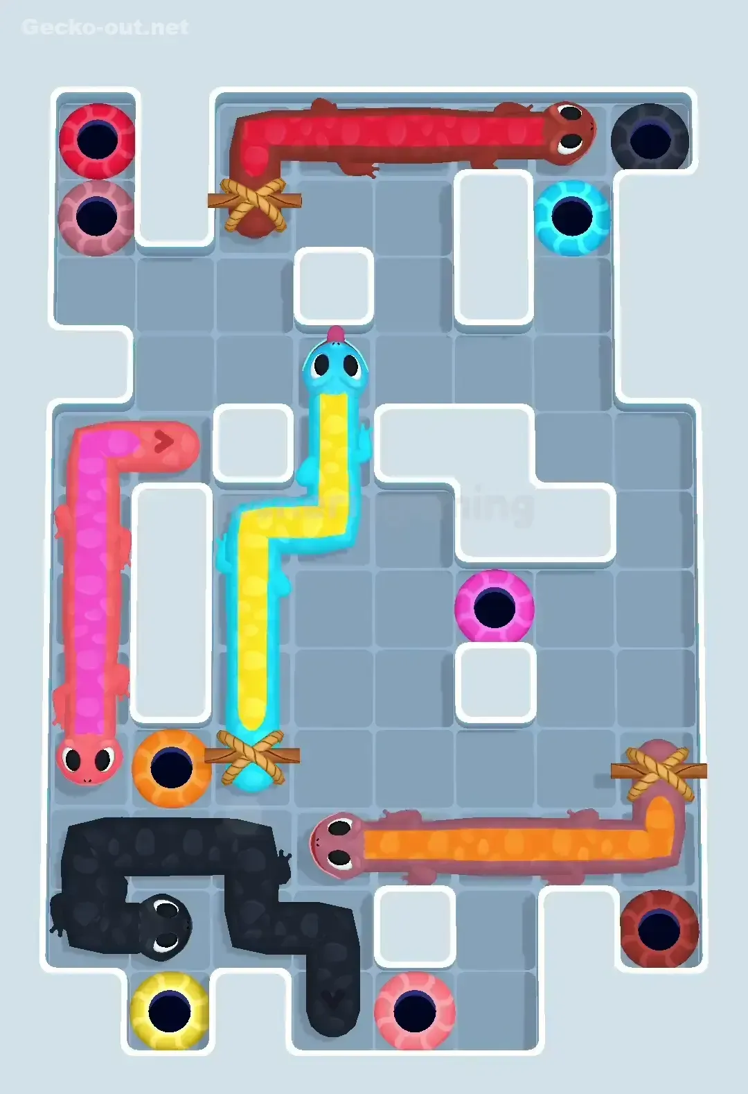 Gecko Out Level 509 Solution 2