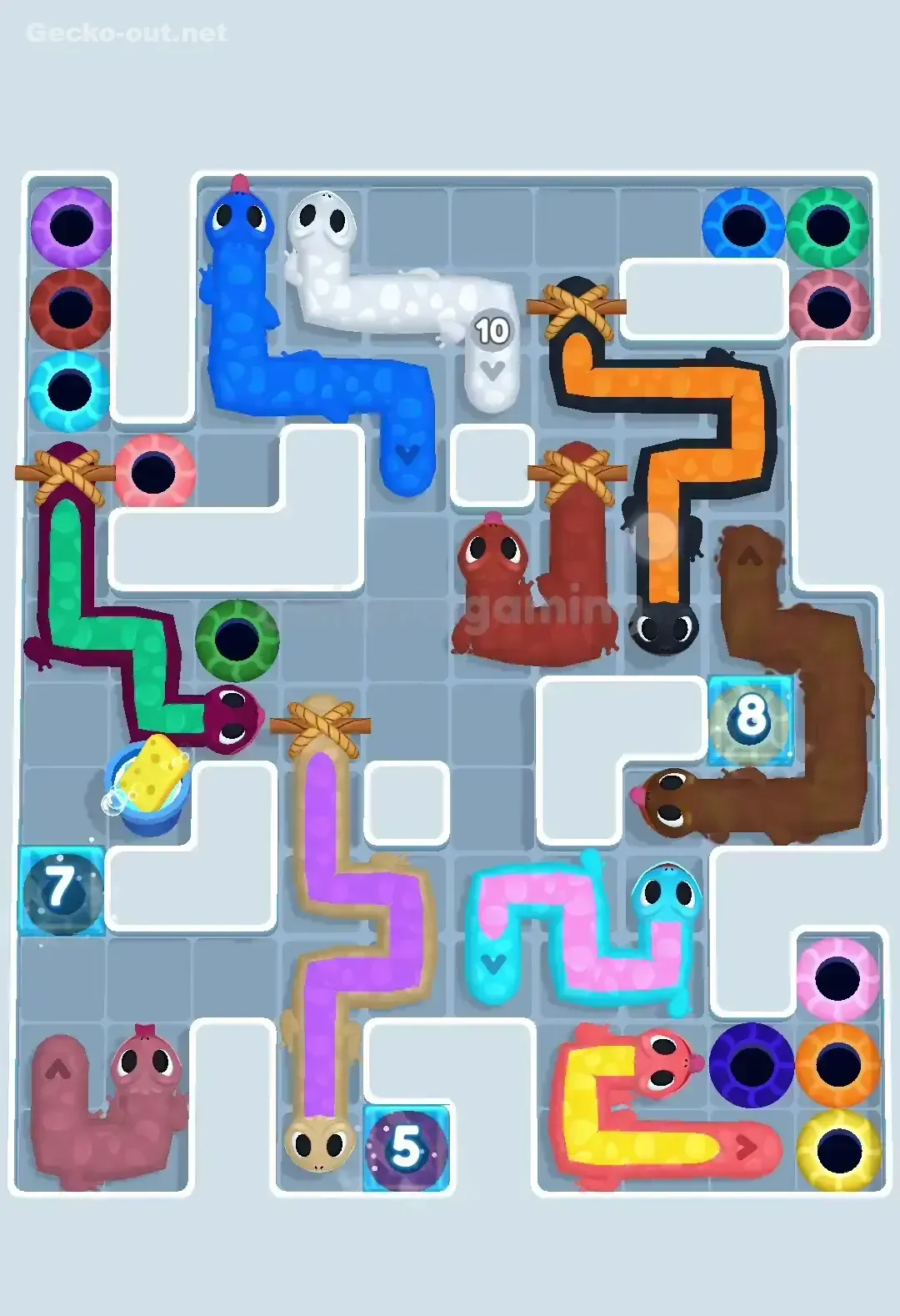 Gecko Out Level 507 Solution 2
