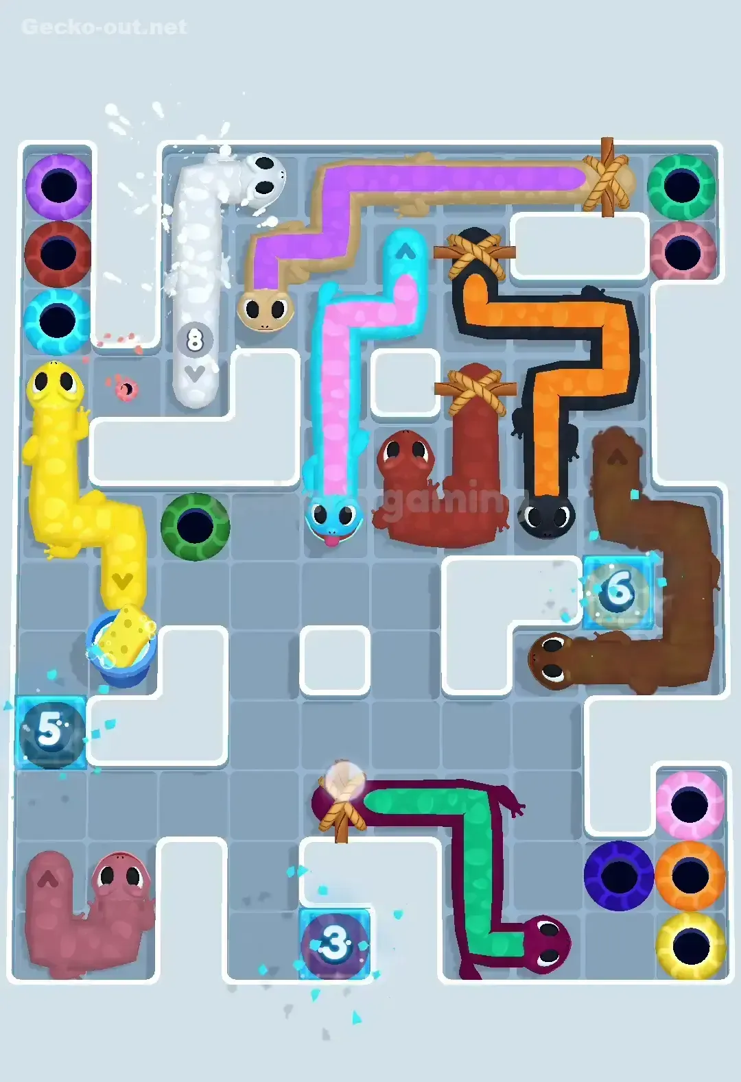 Gecko Out Level 507 Solution 3