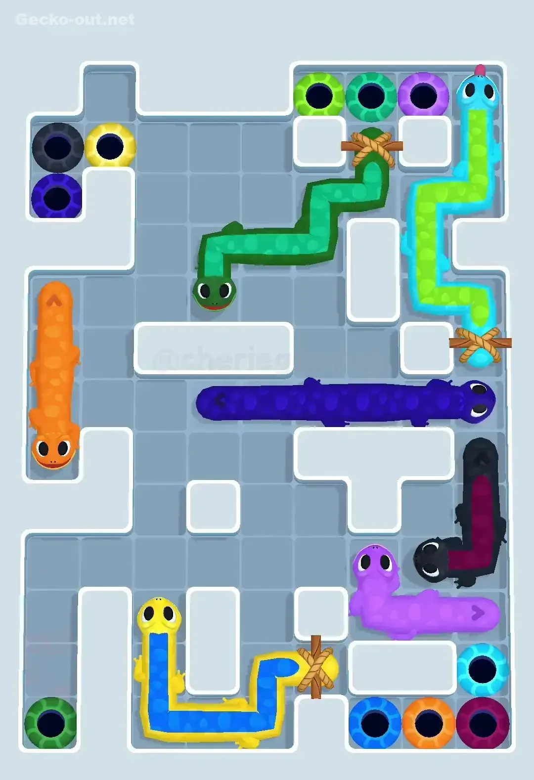 Gecko Out Level 505 Solution 2