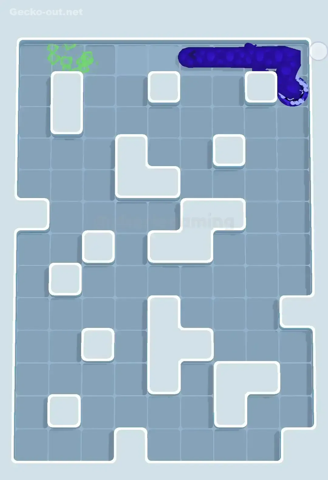 Gecko Out Level 504 Solution 3