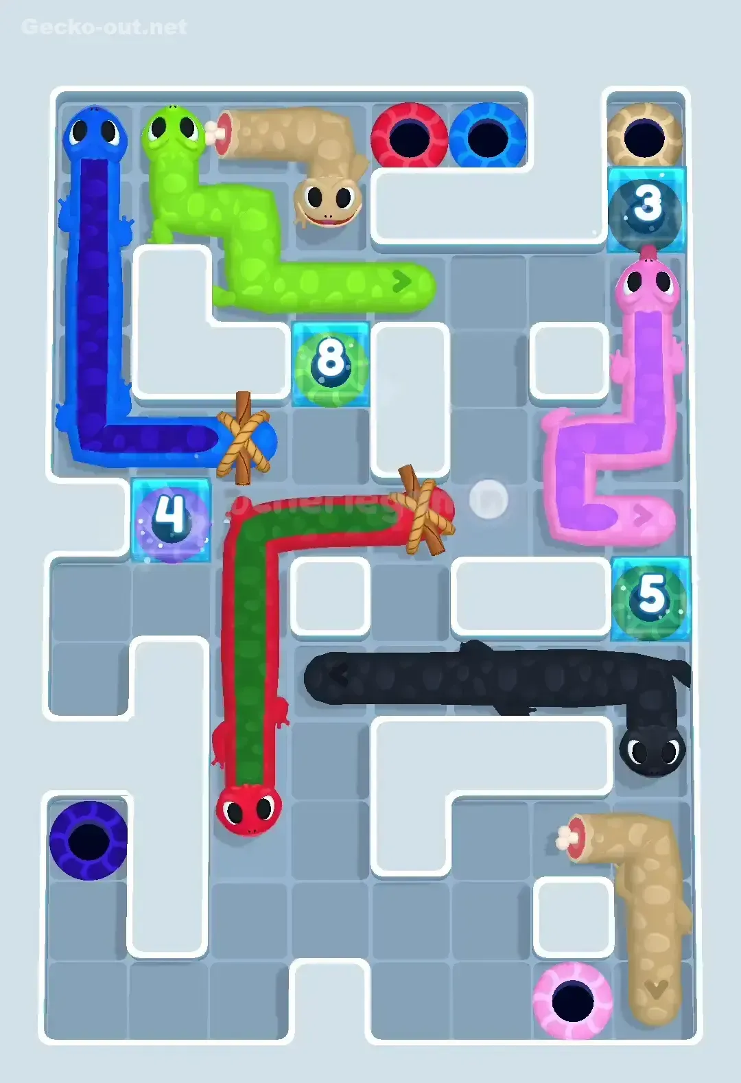 Gecko Out Level 502 Solution 3