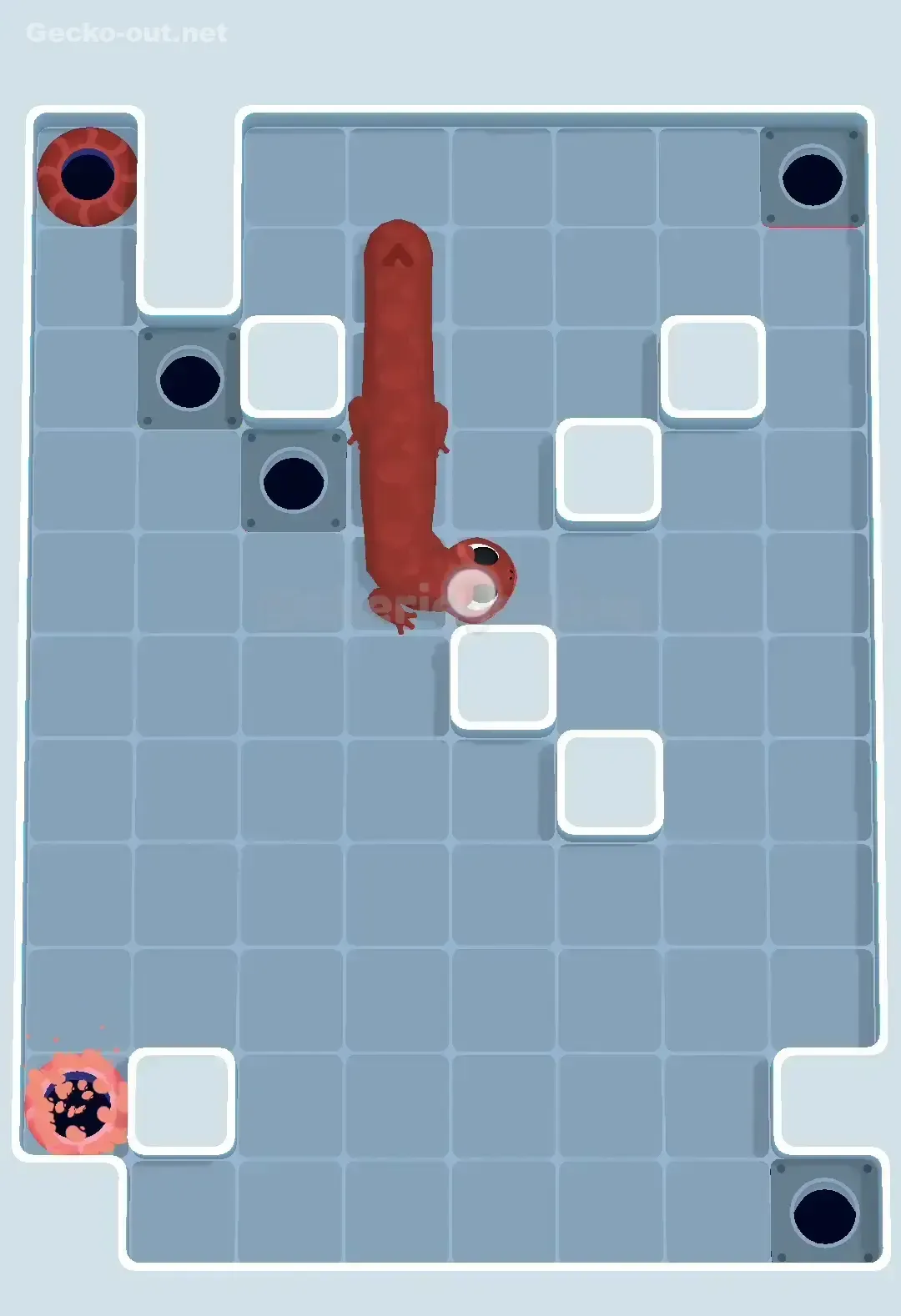 Gecko Out Level 491 Solution 3