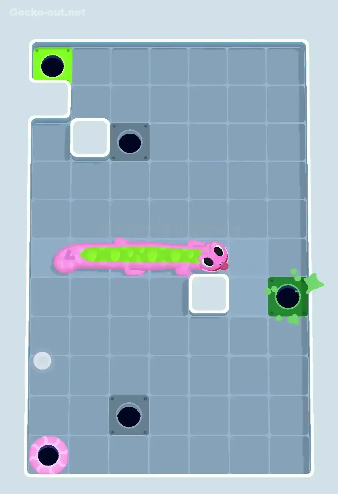 Gecko Out Level 479 Solution 3