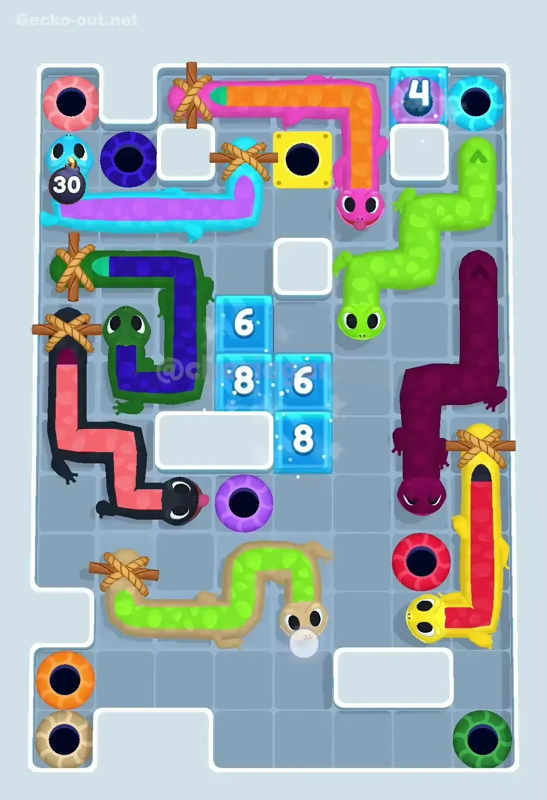 Gecko Out Level 477 Solution 2