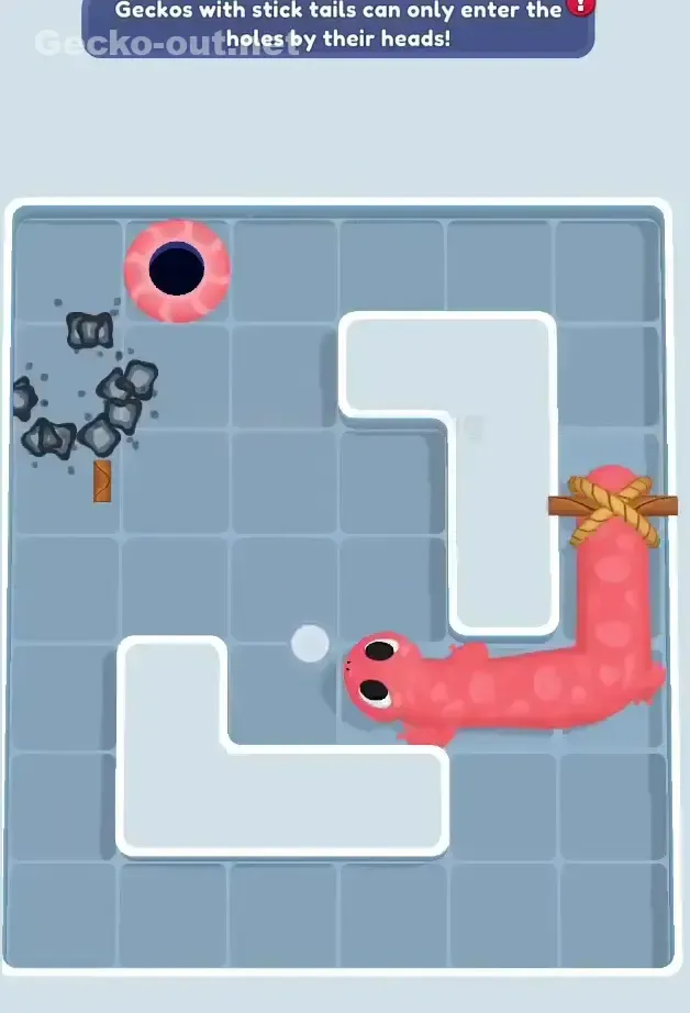 Gecko Out Level 473 Solution 3