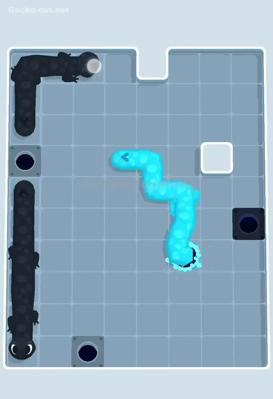 Gecko Out Level 465 Solution 3