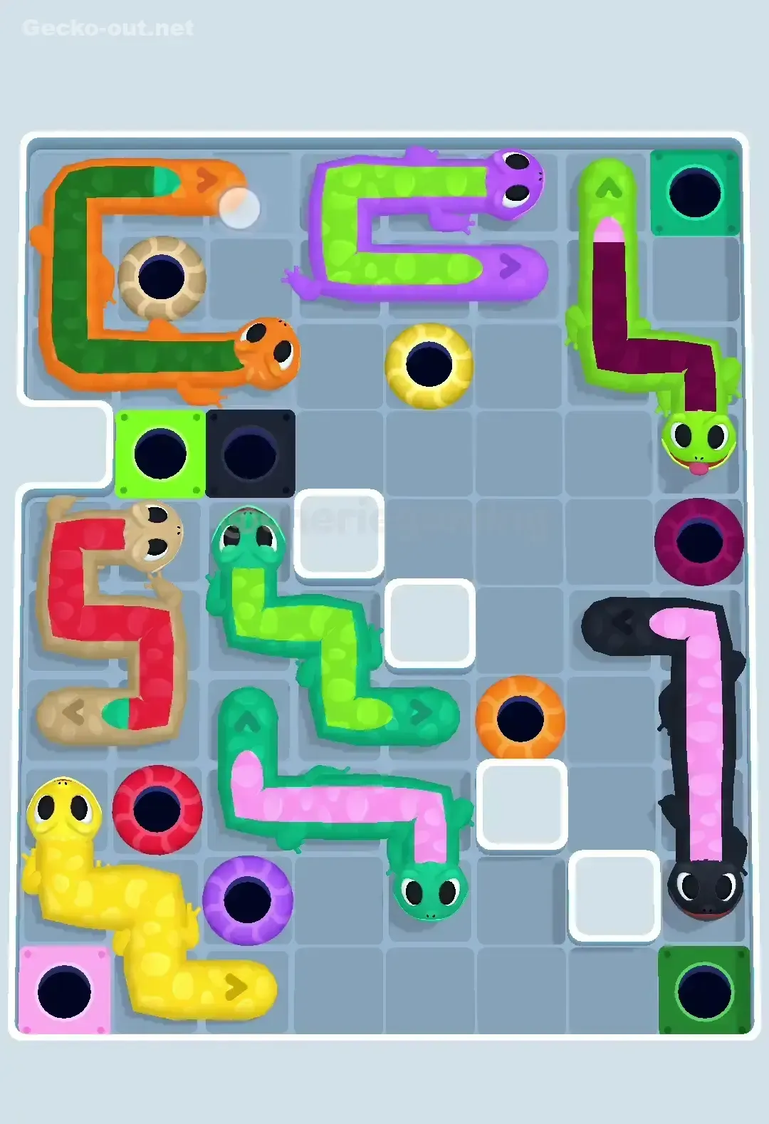Gecko Out Level 463 Solution 3