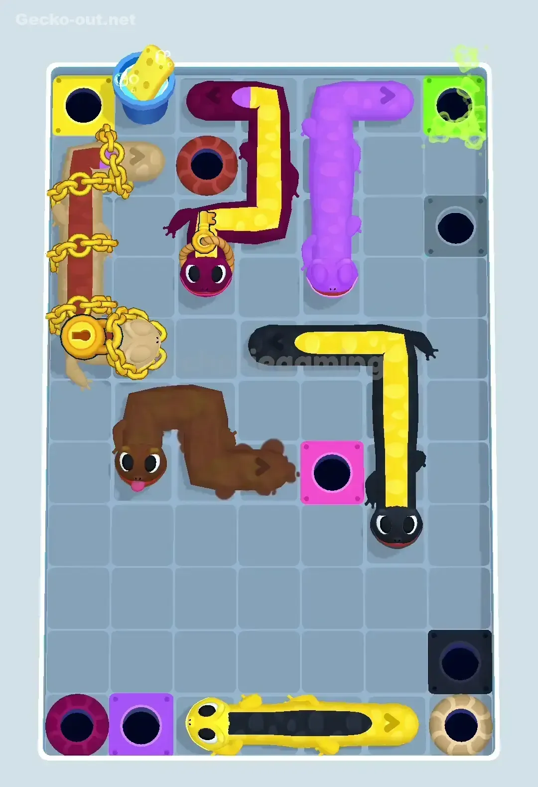 Gecko Out Level 459 Solution 2