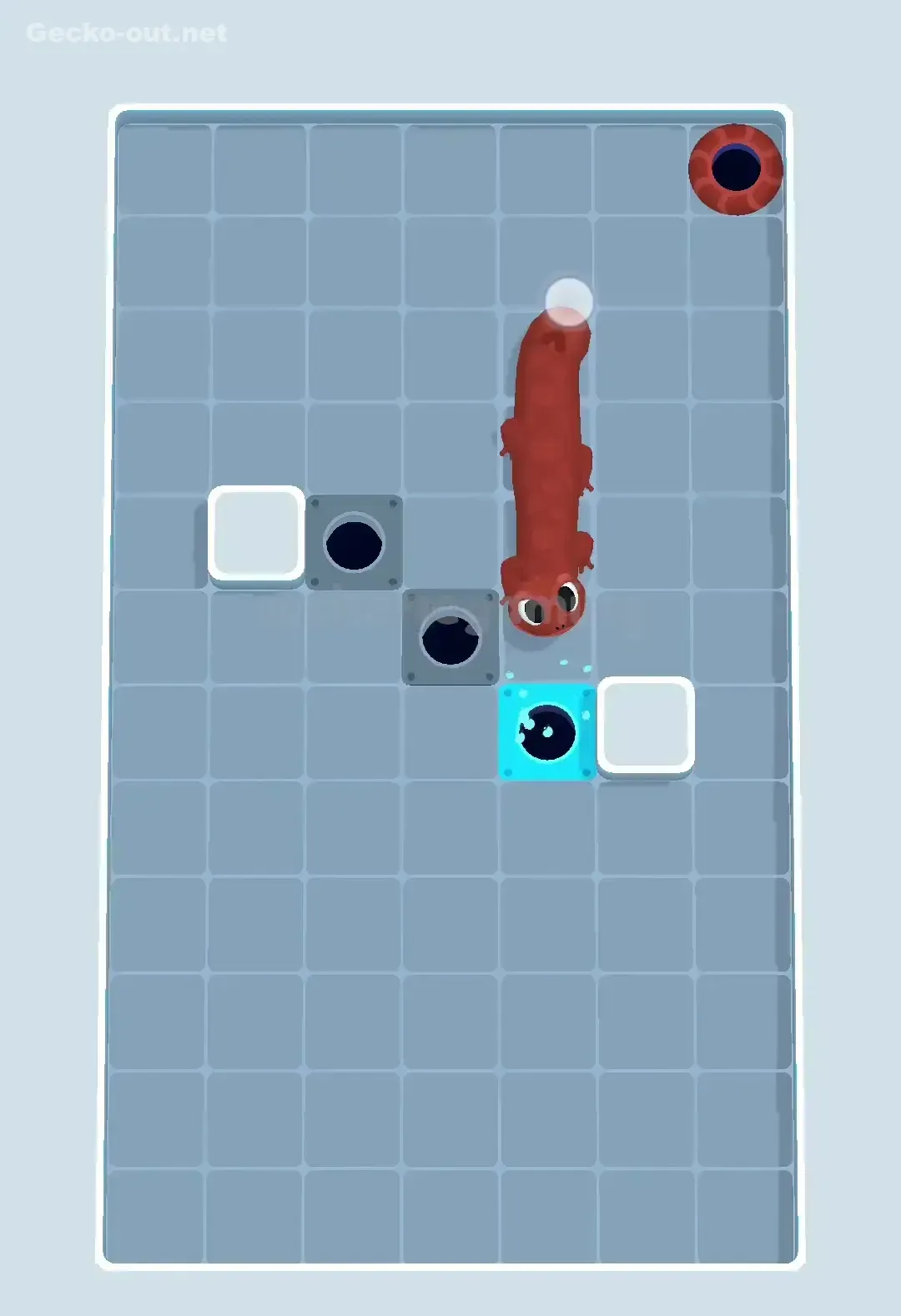 Gecko Out Level 451 Solution 3