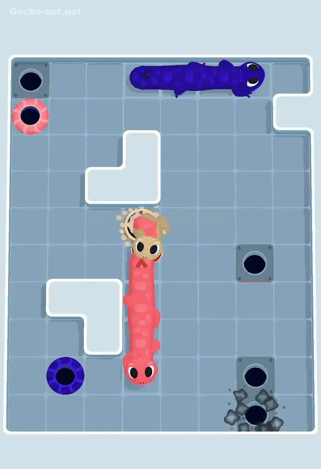 Gecko Out Level 449 Solution 3