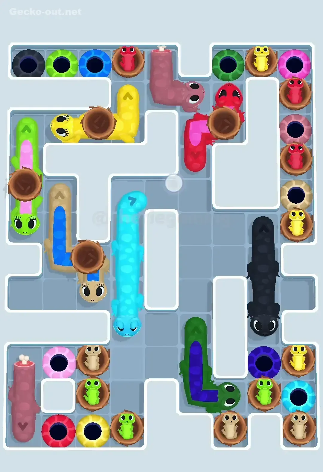 Gecko Out Level 646 Solution 2