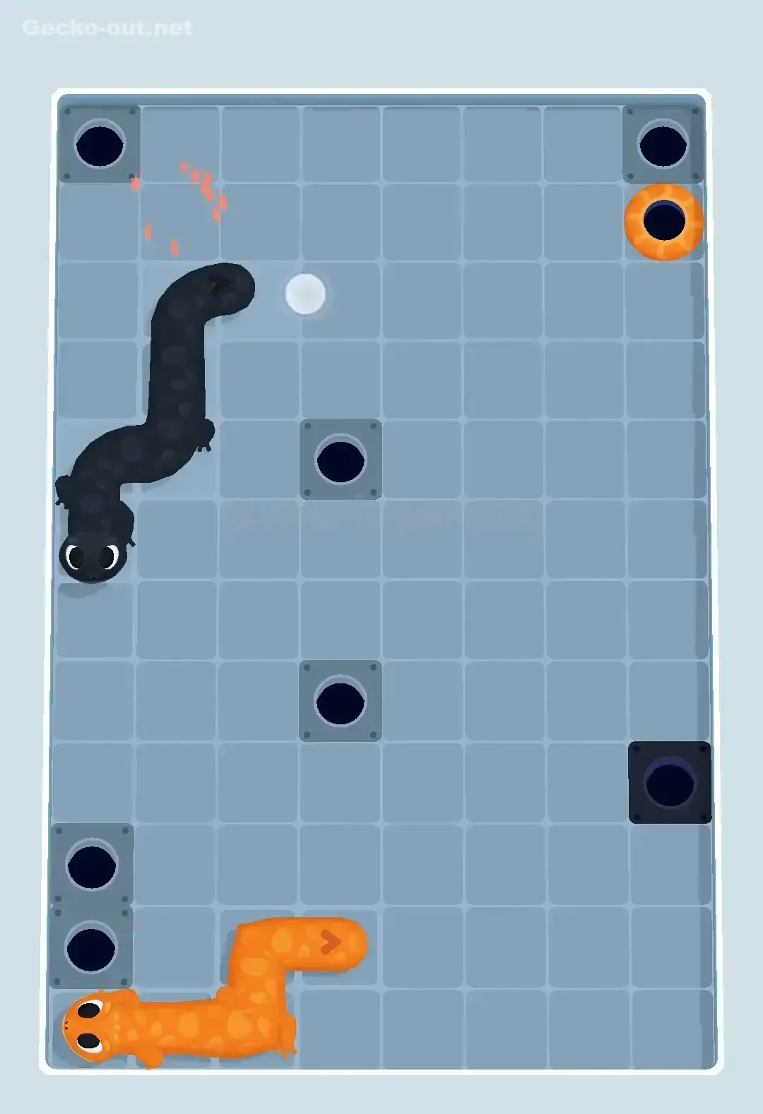 Gecko Out Level 444 Solution 3